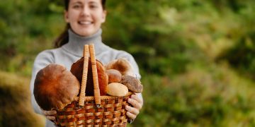 Išmanusis grybavimas – grybų atpažinimui pasitelkiamos ir mobiliosios programėles