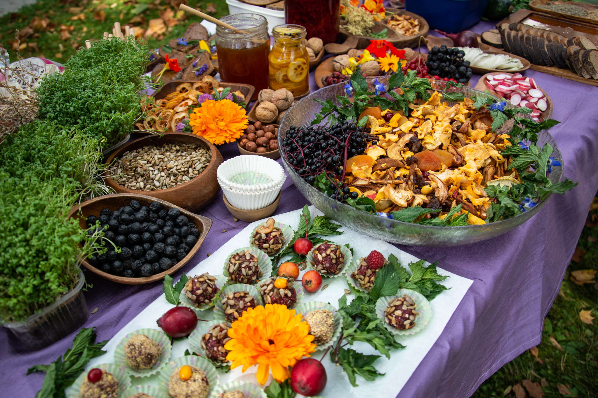 Sveiko maisto šventė: iškyla neapsiriboja tik šašlykais ir traškučiais