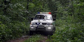 Miške pasiklydusi senolė rasta gyva ir sveika