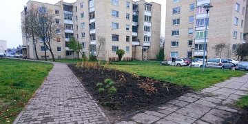 Nauja želdinių alėja Lietuvos šimtmečio vaikams, gimusiems Trakuose, įgyja vaizdą