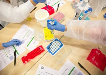 Lietuva pereis prie pasaulinės mokslo klasifikavimo sistemos