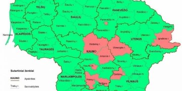 Gripo epidemiją skelbia vis daugiau savivaldybių