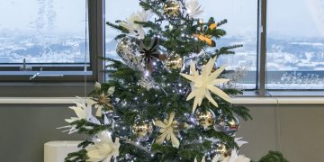 Sostinėje – apie 80 aikštelių šventinėms eglutėms surinkti