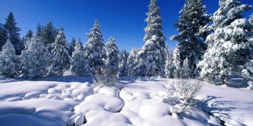 Sniego mįslė, į kurią atsakymą geriau žinoti: kada jis lengvas kaip plunksna, o kada – sunkus kaip plyta?