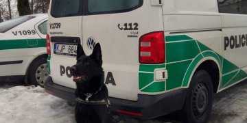 Tarnybinio šuns uoslė neapgavo – automobilyje rasta narkotinių medžiagų
