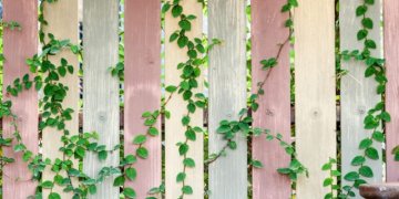 Kokia tvora geriausiai tiks mano namams arba sklypui?