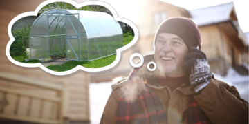 Rogutes ruošk vasarą, o šiltnamį – žiemą..? Kodėl dabar apsimoka pirkti šiltnamį?