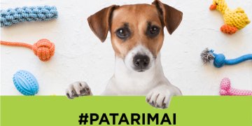 Ko reikia šuniukui: TOP pirkinių sąrašas ir pagrindinės rekomendacijos