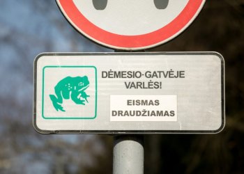 Vilniaus parkuose – saugi varlių migracija