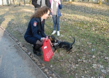 Vilnius skelbia tvarkingų augintinių akciją