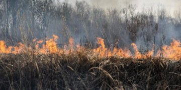 Deginti sausą žolę draudžiama!