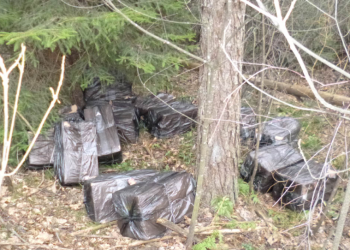 Šalčininkų rajone netoli cigarečių krovinio sulaikyti vyrai bandė apsimesti žvejais