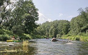 Širvinta – lenkų ar lietuvių?