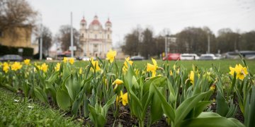Orai: šiluma trauksis, sulauksime šalnų