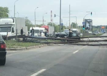 Eismas Savanorių prospekte atnaujintas