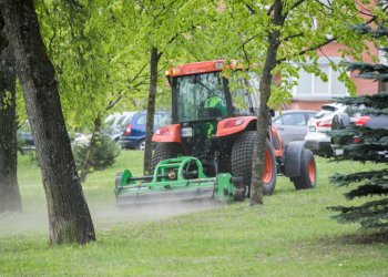 Sostinėje prasidėjo žolės šienavimas