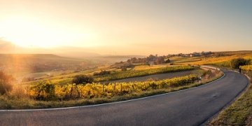 Hibridinių automobilių privalumai – kas taip traukia mūsų vairuotojus?