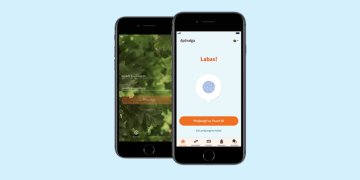 „Swedbank“ pristatys naują išmaniąją programėlę
