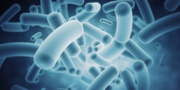 Šiais metais Lietuvoje užregistruotas antras mirties atvejis nuo retos užkrečiamosios ligos