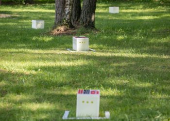 Sostinės parkuose testuojamos erkių gaudyklės