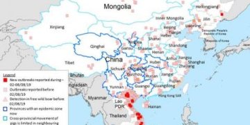 AKM neapleidžia Europos ir Azijos