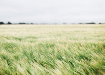 Augalų apsaugos produktus reikia naudoti atsakingai