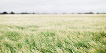 Augalų apsaugos produktus reikia naudoti atsakingai