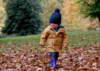 Seimas pritarė, kad priėmimas į darželius ir mokyklas vyktų tik per centralizuotą elektroninę sistemą