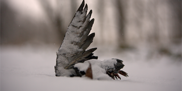 „Kino chuliganai“ su žinomais žmonėmis ieško atsakymų į egzistencinius klausimus