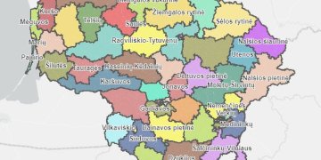 Seimo rinkimams siūloma nauja apygarda Vilniuje, po vieną išnyktų Dzūkijoje ir Žemaitijoje