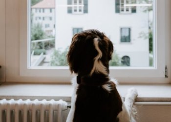 Vilniuje įjungiamas šildymas gyventojams