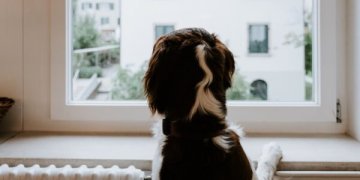 Vilniuje įjungiamas šildymas gyventojams