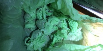 Kratos metu rasta „žolės“