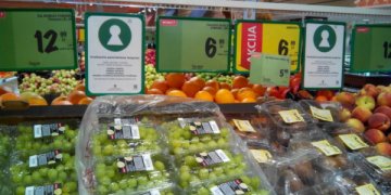 Sveikatai palankaus maitinimosi svarba