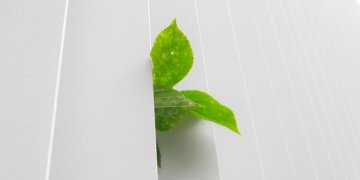 Ekologiškesniam verslui – 1,5 mln. eurų ES investicijų, bus finansuojamas ir ekologinis ženklinimas