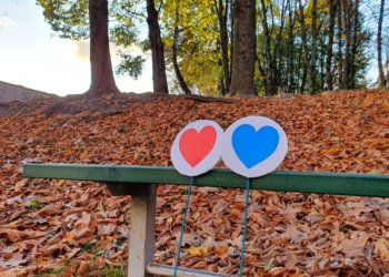 Gyventojų akimis: kodėl Šnipiškėse gyventi gera?