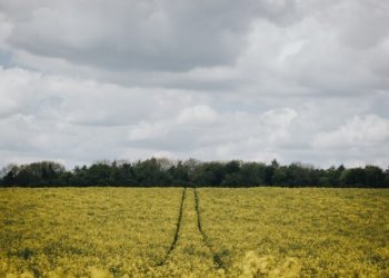 Seime – teikimas griežtinti ūkininko sodybos statybas