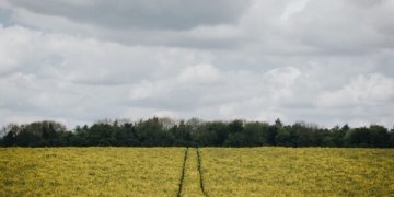 Seime – teikimas griežtinti ūkininko sodybos statybas