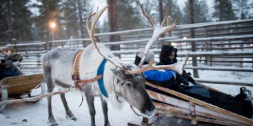 Kviečia prisidėti prie Kalėdų stebuklo: pakelk lėktuvą į Laplandiją
