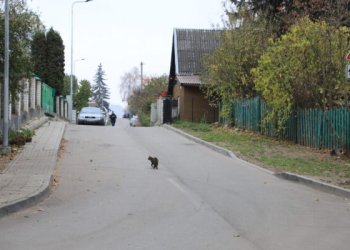 Šnipiškėse atsiras pirmoji bendrojo naudojimo (shared space) gatvė