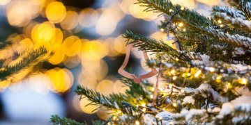 Vilniuje – 80 aikštelių nupuoštoms eglėms surinkti