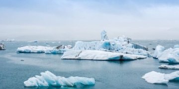 Europiečiai susirūpinę klimatu, lietuviai – skurdu ir miškais