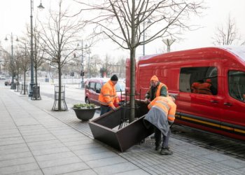 Naujas standartas rūpestingai medžių priežiūrai žiemą sostinėje