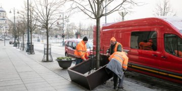 Naujas standartas rūpestingai medžių priežiūrai žiemą sostinėje