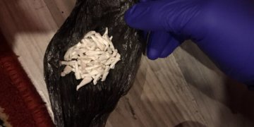 Moteris su narkotikais vėl įkliuvo policijai