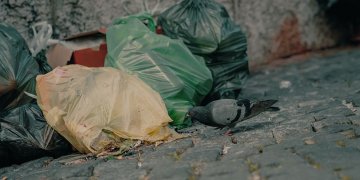 Vilniaus vicemeras: atliekų vežėjams nesilaikant grafiko, gali būti nutrauktos sutartys