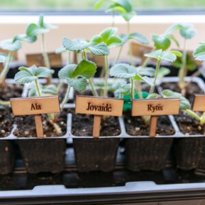 Vilnius kuria ateities mokyklas – kas trečioje veiks „FabLab" dirbtuvės