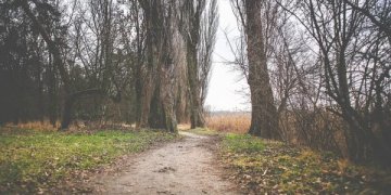 Šių metų sausis – šilčiausias istorijoje, teigia meteorologai