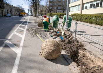 Naugarduko gatvės atnaujinimas