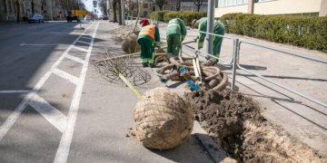 Naugarduko gatvės atnaujinimas